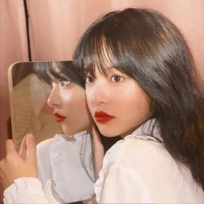 大灰熊