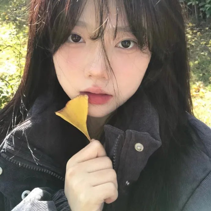 岗上花开