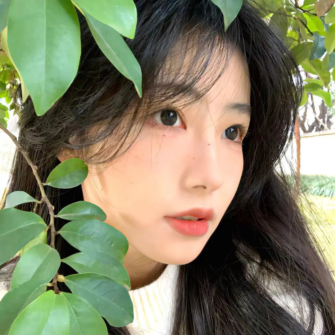 给我庇护